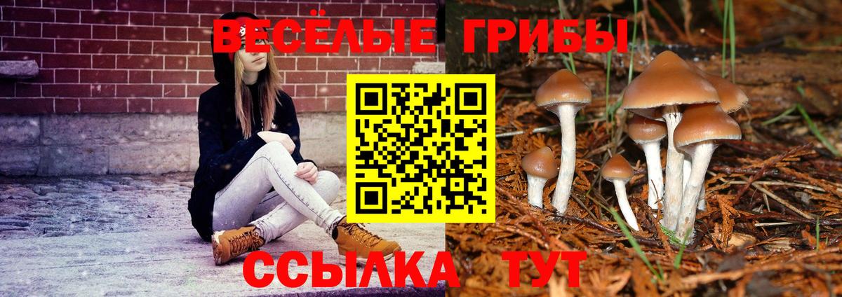 Галлюциногенные грибы ЛСД  Вход с VPN  Карпинск 