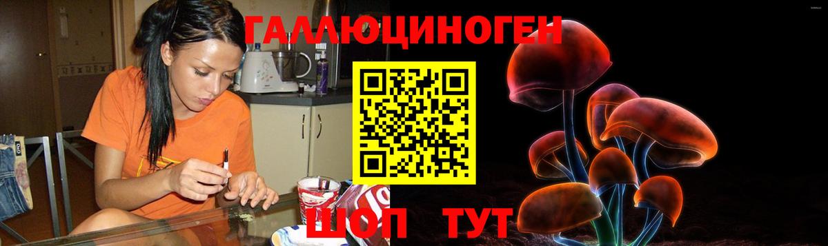 Псилоцибиновые грибы MAGIC MUSHROOMS Карпинск